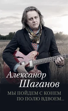 Александр Шаганов Мы пойдем с конем по полю вдвоем… обложка книги
