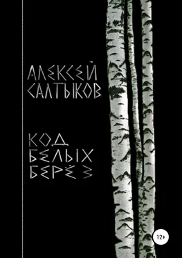 Алексей Салтыков Код белых берёз обложка книги