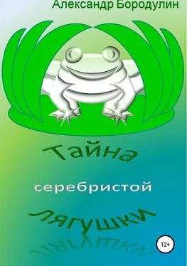 Александр Бородулин Тайна серебристой лягушки обложка книги