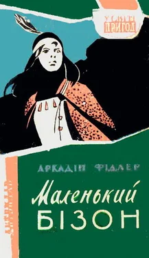 Аркадій Фідлер Маленький Бізон обложка книги