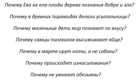 Эти вопросы связанны друг с другом Ответы на них объединяет одно слово - фото 1