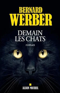 Bernard Werber Demain les chats обложка книги