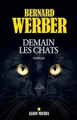 Bernard Werber - Demain les chats