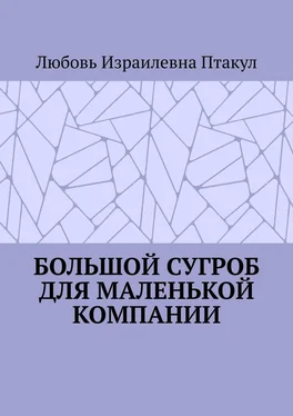 Любовь Птакул Большой сугроб для маленькой компании обложка книги