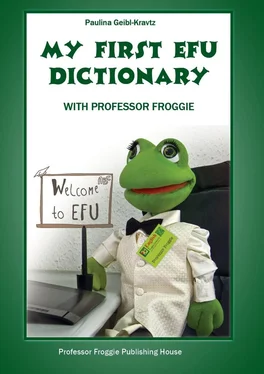 Paulina Geibl-Kravtz My First EFU Dictionary. WITH PROFESSOR FROGGIE обложка книги