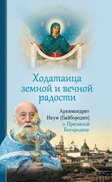 архимандрит Наум (Байбородин) Ходатаица земной и вечной радости: О Пресвятой Богородице обложка книги