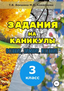 Татьяна Векшина Задания на каникулы. 3 класс обложка книги