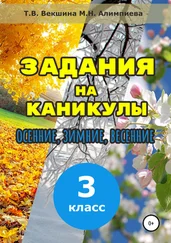 Татьяна Векшина - Задания на каникулы. 3 класс