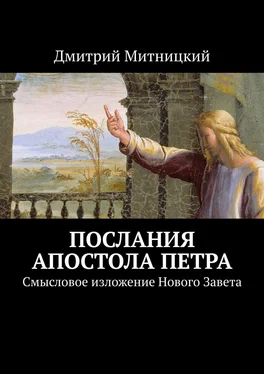 Дмитрий Митницкий Послания апостола Петра. Смысловое изложение Нового Завета обложка книги