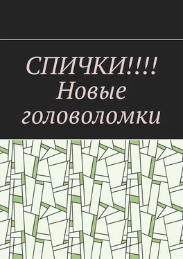 Вадим Дубинский СПИЧКИ!!!! Новые головоломки обложка книги