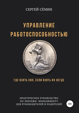 Сергей Сёмин Управление работоспособностью обложка книги