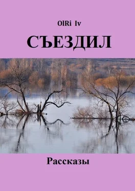 OlRi Iv Съездил. Рассказы обложка книги