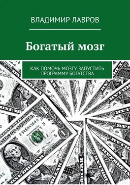 Владимир Лавров Богатый мозг. Как помочь мозгу запустить программу богатства обложка книги