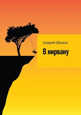 Андрей Шамов В нирвану обложка книги