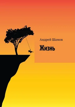 Андрей Шамов Жизнь обложка книги