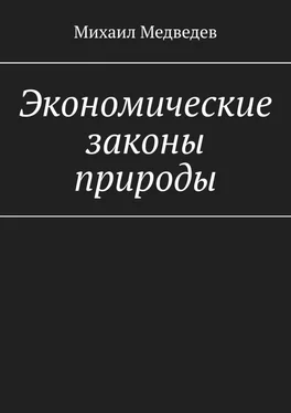 Михаил Медведев Экономические законы природы обложка книги