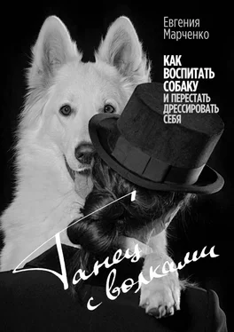 Евгения Марченко Танец с волками. Как воспитать собаку и перестать дрессировать себя обложка книги