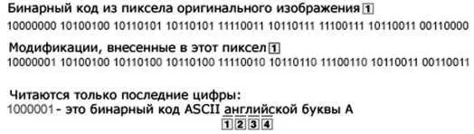 Пример использования стеганографии в изображении Анны Чапмен сайт Русской - фото 204