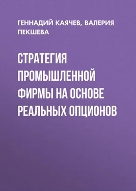 Геннадий Каячев Стратегия промышленной фирмы на основе реальных опционов обложка книги