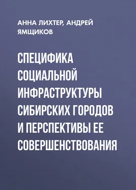 Андрей Ямщиков Специфика социальной инфраструктуры сибирских городов и перспективы ее совершенствования обложка книги