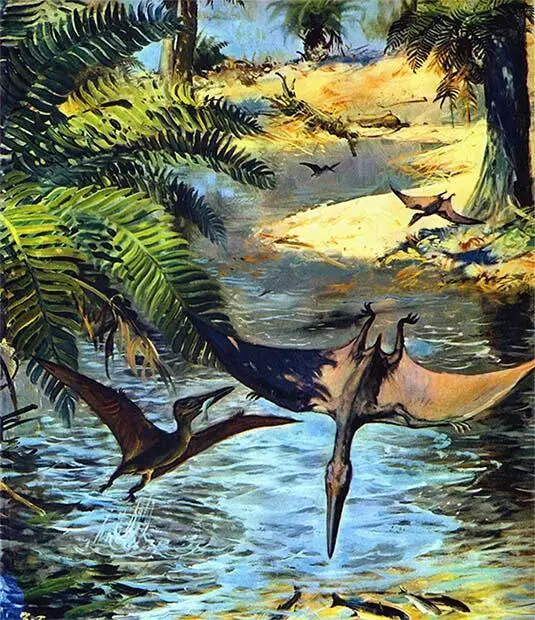 Маленькие короткохвостые птеродактили вида Pterodactylus elegans величиной с - фото 29
