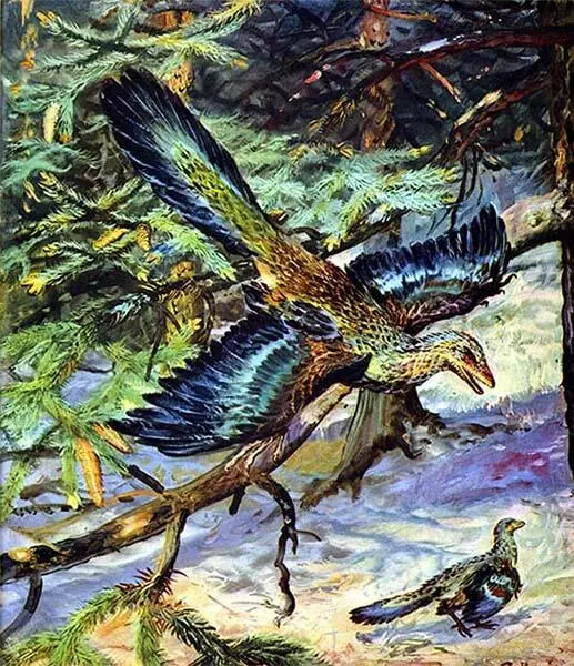Древняя зубастая птица Archaeopteryx lithographica свидетель развития птиц из - фото 33