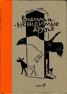 Николас Шуфф Видимые-невидимые друзья обложка книги