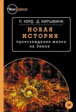 Питер Уорд Новая история происхождения жизни на Земле обложка книги