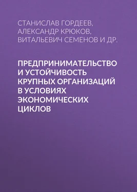 Александр Крюков Предпринимательство и устойчивость крупных организаций в условиях экономических циклов обложка книги