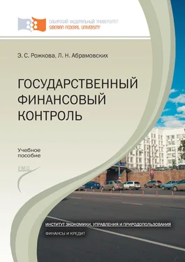 Эльвира Рожкова Государственный финансовый контроль обложка книги