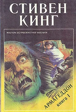 Стивен Кинг Армагеддон обложка книги