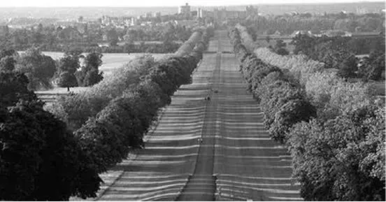 Большой Виндзорский парк англ Windsor Great Park имеет площадь около 20 - фото 8