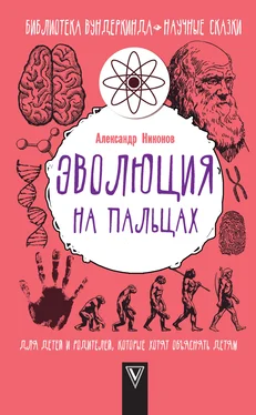 Александр Никонов Эволюция на пальцах. Для детей и родителей, которые хотят объяснять детям обложка книги