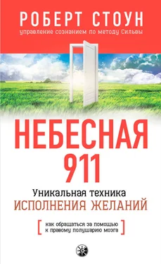 Роберт Стоун Небесная 911. Как обpащаться за помощью к пpавому полушаpию обложка книги