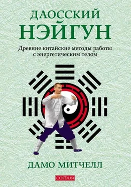 Дамо Митчелл Даосский нэйгун. Древние китайские методы работы с энергетическим телом обложка книги