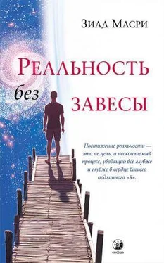 Зиад Масри Реальность без завесы обложка книги