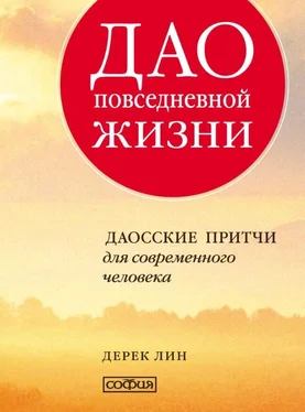 Дерек Лин Дао повседневной жизни. Даосские притчи для современного человека обложка книги