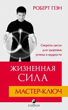 Роберт Пэн Жизненная Сила. Мастер-ключ обложка книги