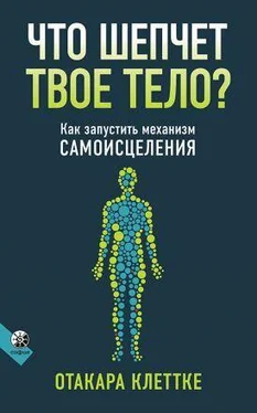 Отакара Клеттке Что шепчет твое тело? обложка книги