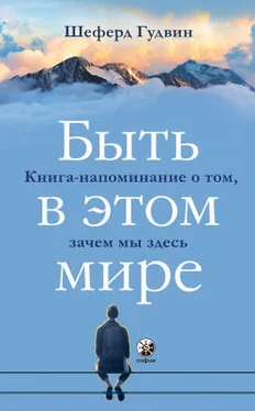 Гудвин Шеферд Быть в этом мире обложка книги