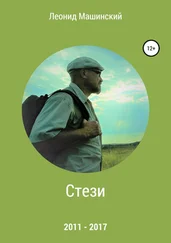 Леонид Машинский - Стези