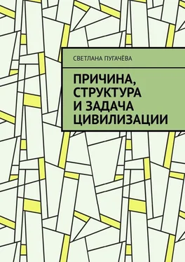 Светлана Пугачёва Причина, структура и задача цивилизации обложка книги