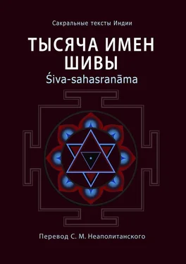Неаполитанский С. М. Тысяча имен Шивы. Śiva-sahasranāma обложка книги