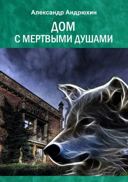 Александр Андрюхин Дом с мертвыми душами обложка книги