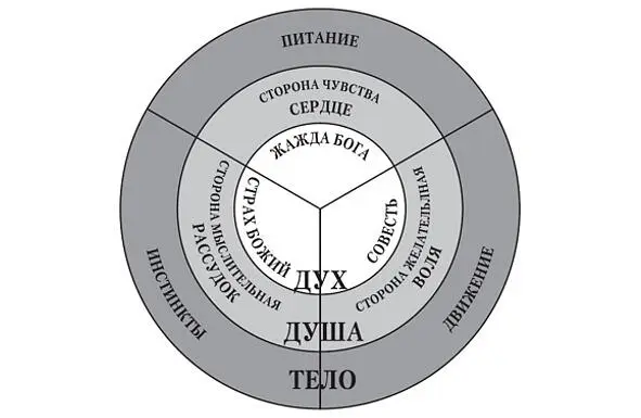 Продолжая разговор о структуре эго у неискушенного читателя может возникнуть - фото 16