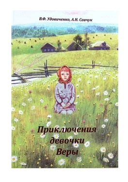 Вера Удовиченко Приключения девочки Веры обложка книги