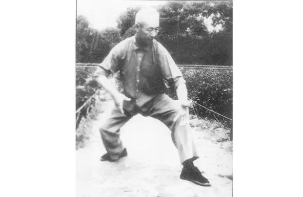Яо Цзунсунь 19171985 Преемник во втором поколении Яо Ченжун р 1953 - фото 2