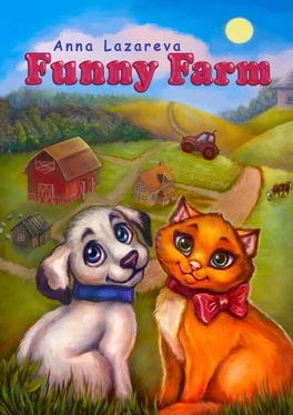 Anna Lazareva Funny Farm обложка книги