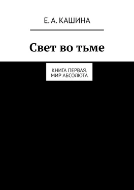 Елена Кашина Свет во тьме. Книга первая. Мир Абсолюта обложка книги