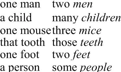 Use your dictionary to check any plural forms that you are not sure of 6 Very - фото 7